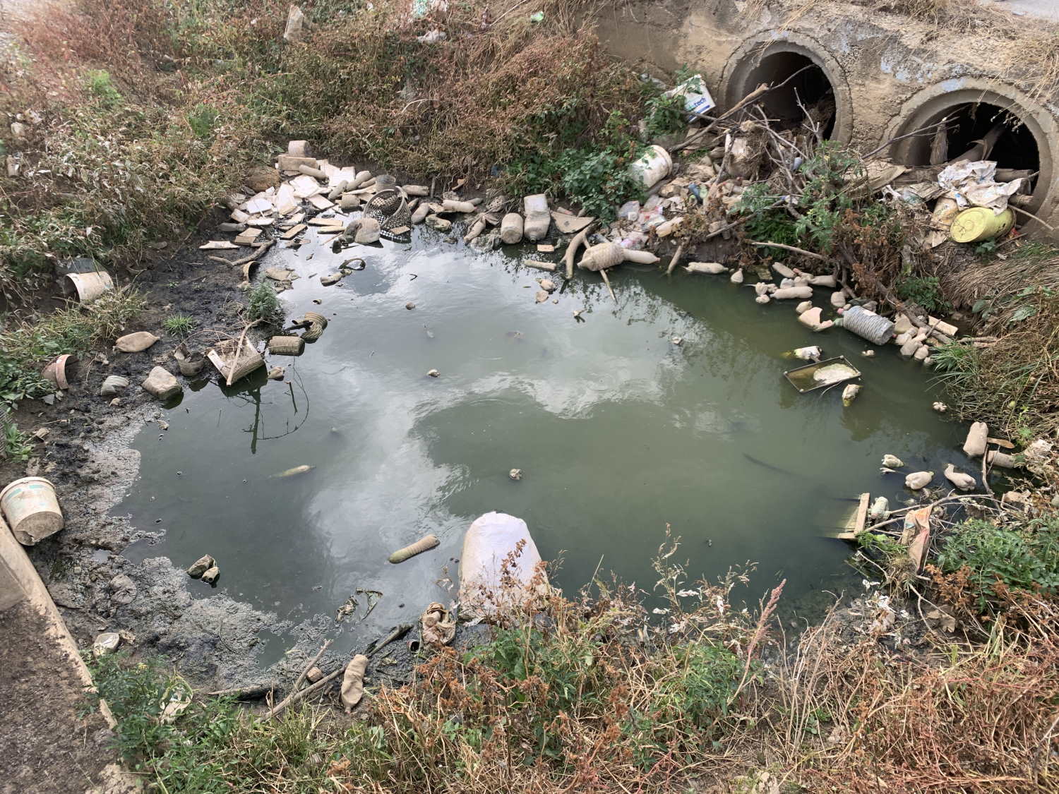 The River in Kojskë: Severe Pollution Threatens Environment and Farmlands
