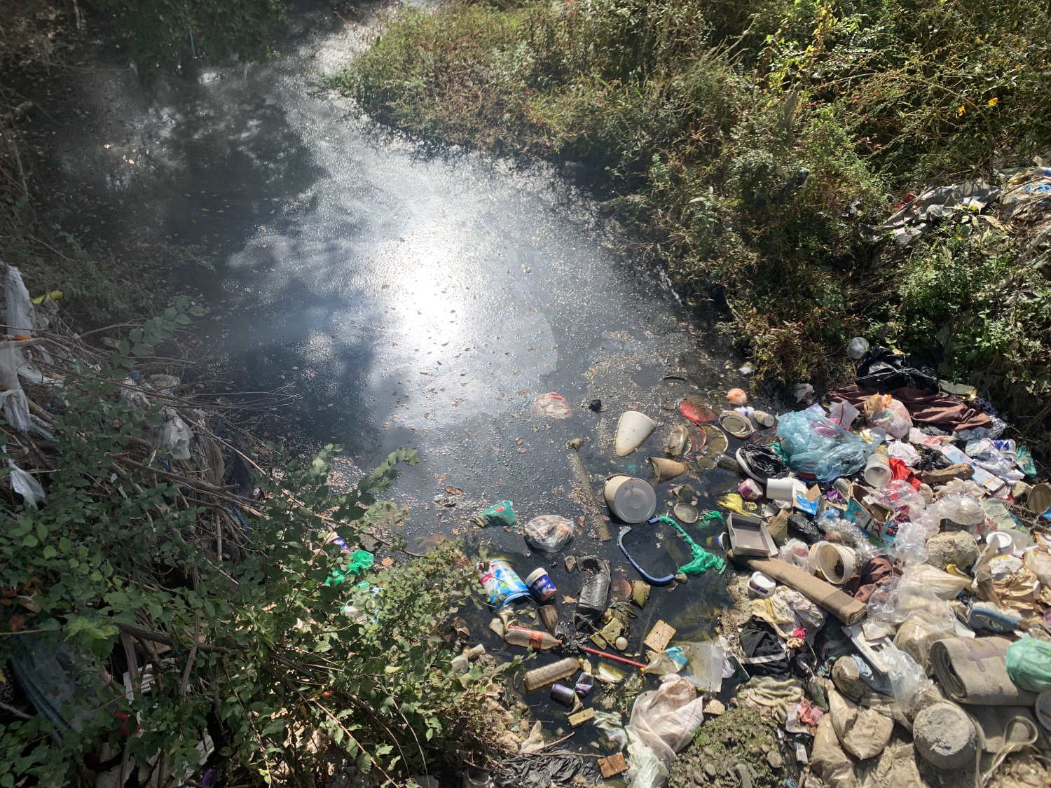 Shkugëza Park in Environmental Crisis